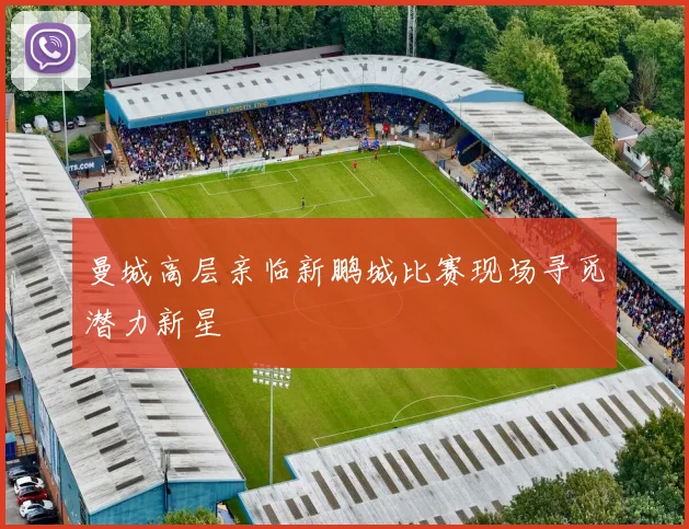 曼城高层亲临新鹏城比赛现场寻觅潜力新星