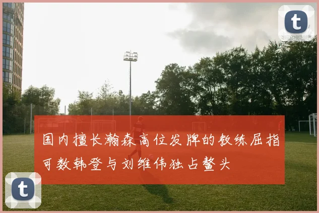 国内擅长瀚森高位发牌的教练屈指可数韩登与刘维伟独占鳌头