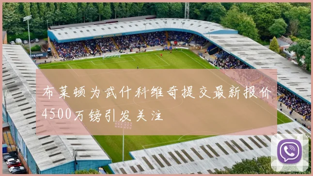 布莱顿为武什科维奇提交最新报价4500万镑引发关注